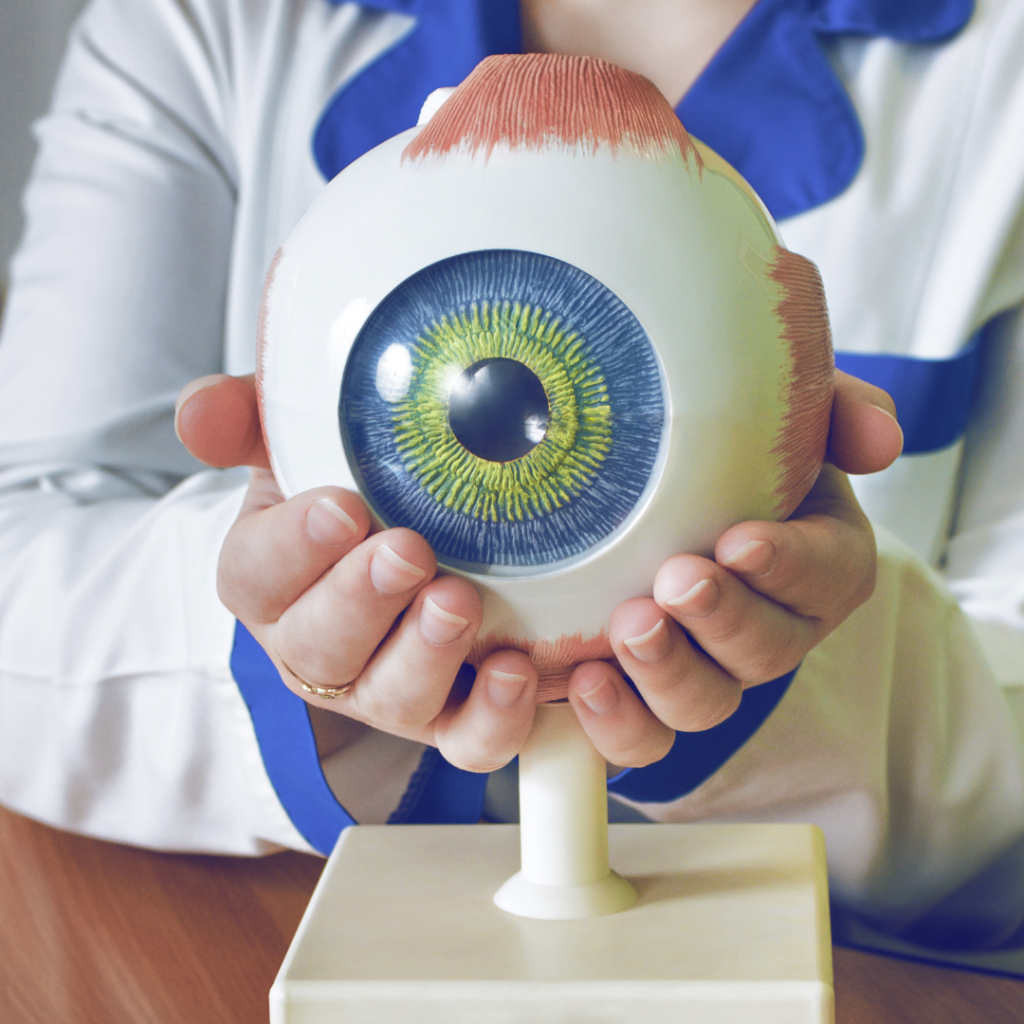 ¿Cuáles son las causas más frecuentes de consulta oftalmológica?